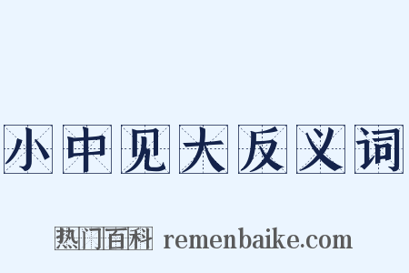 小中见大反义词是什么意思的图片